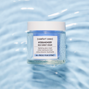 Hydramemory Rich Sorbet Cream